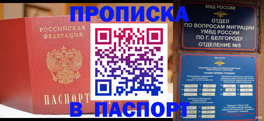 временная регистрация в квартире в Светлогорске